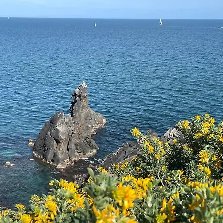 Cap D'agde Centre Port Avec Parking Prive Et Belle Vue Port Et * 阿格德