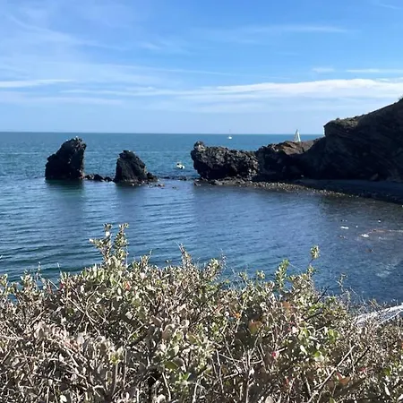 Cap D’agde Centre Port Avec Parking Privé Et Belle Vue Port Et