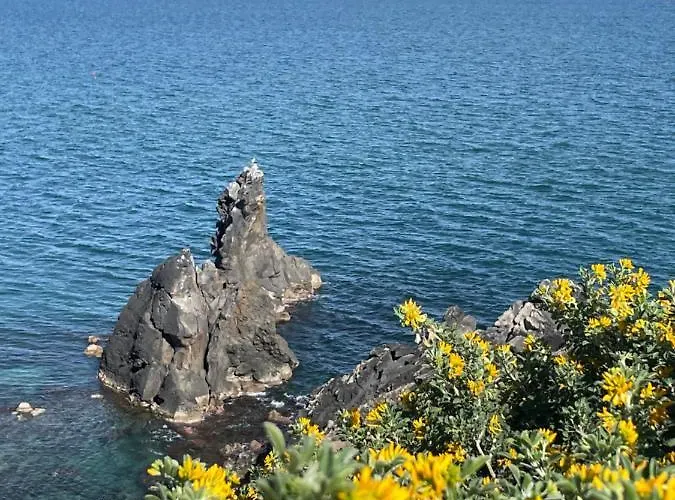 Cap D’agde Centre Port Avec Parking Privé Et Belle Vue Port Et * Agde