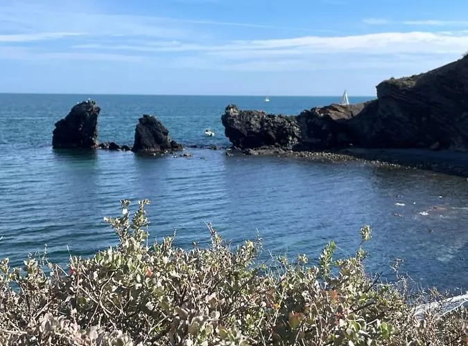 Cap D'agde Centre Port Avec Parking Prive Et Belle Vue Port Et